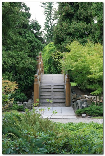 The Japanese Garden in the Szczytnicki Park